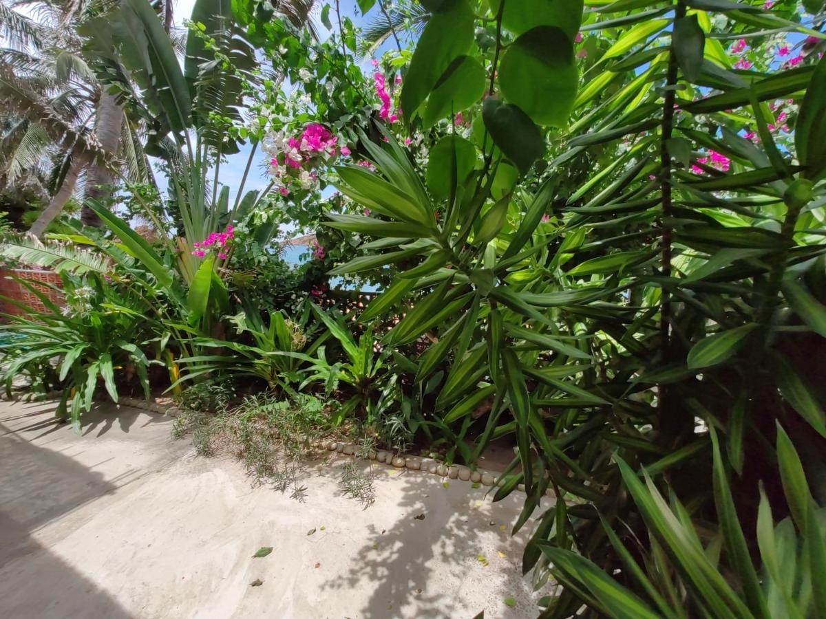 Haven Vietnam Vandrehjem Quy Nhon Eksteriør billede